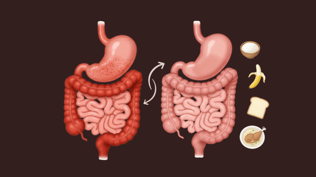 Medical visualization showing digestive system healing with a bland diet